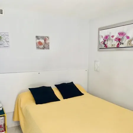 Viva Riviera Palazzio